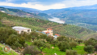 Zarga River, near King Talal Dam